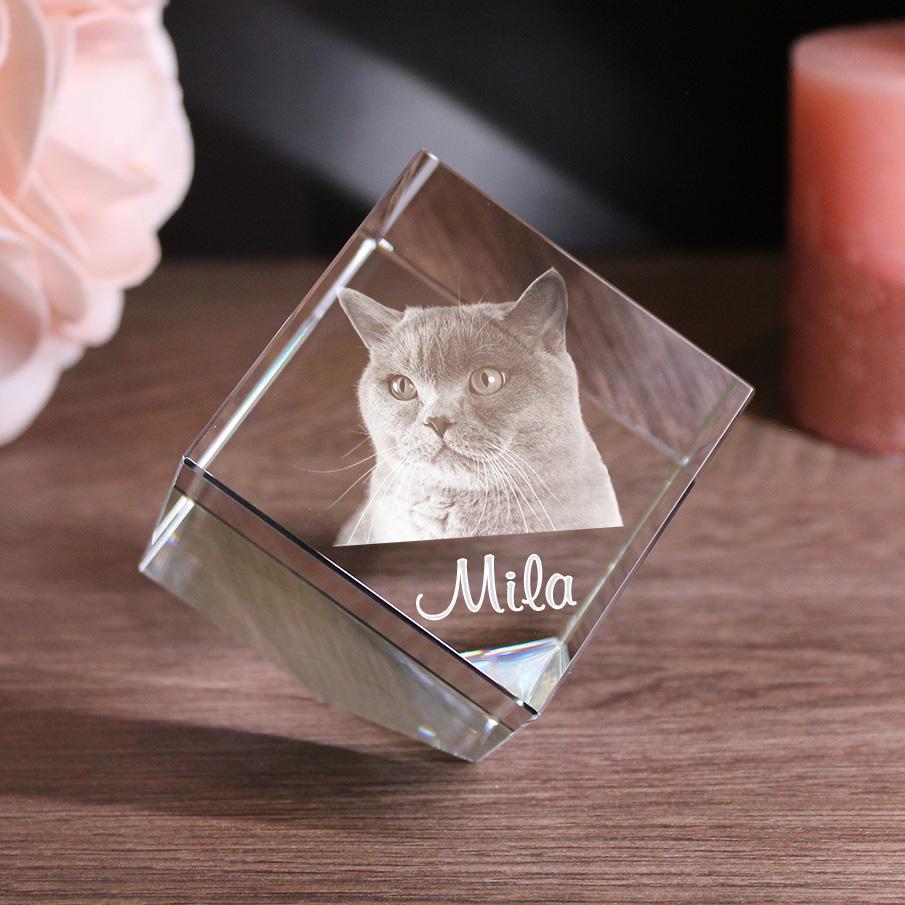 LovePets 2D/3D Glaskristall Würfel Corner-Cut