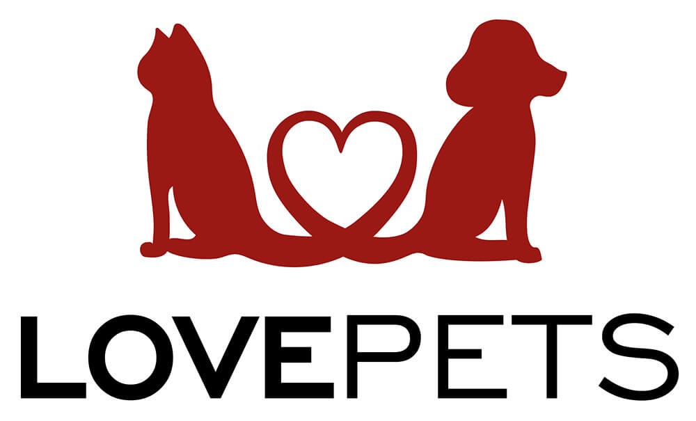 Zur Startseite gehen