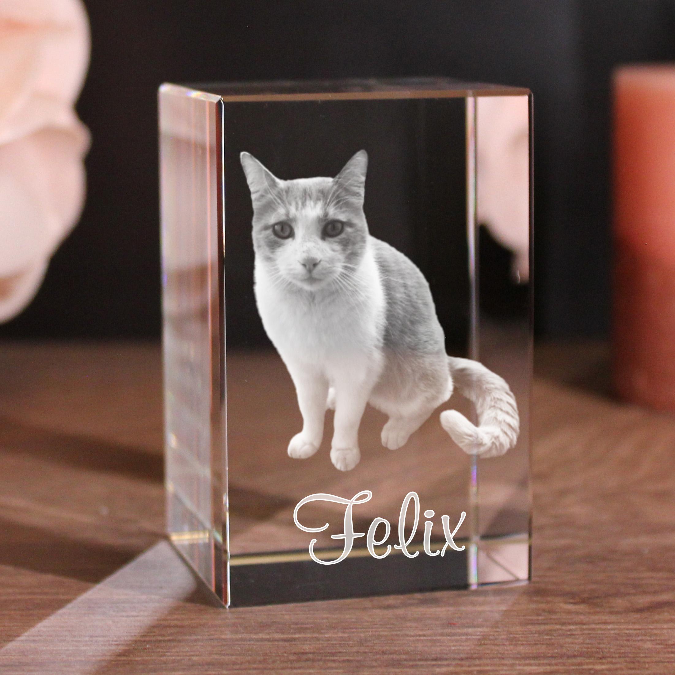 LovePets 2D/3D Glaskristall Quader LovePets 2D/3D Glaskristall Quader